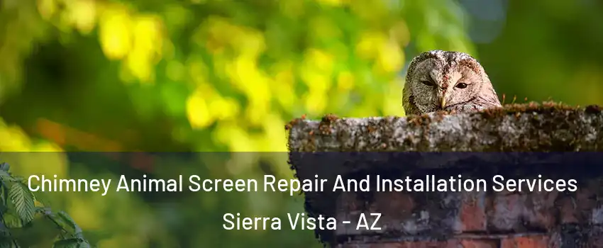  Chimney Animal Screen Repair And Installation Services Sierra Vista - AZ