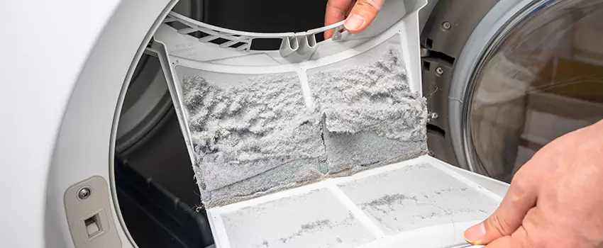 Best Dryer Lint Removal Company in Sierra Vista, Arizona