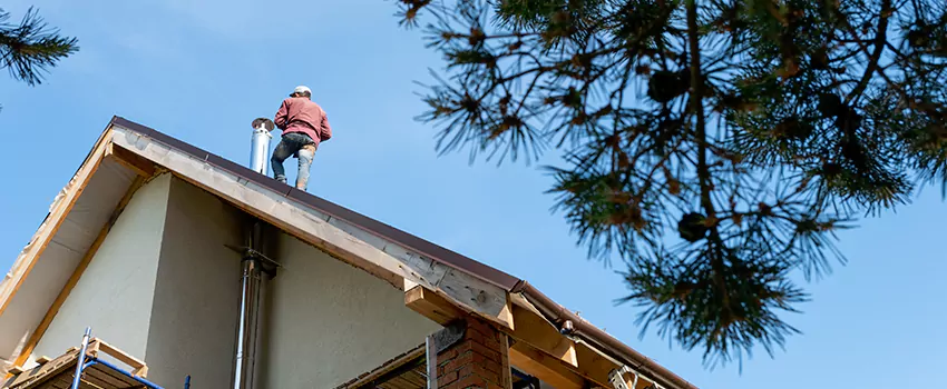 Birds Removal Contractors from Chimney in Sierra Vista, AZ