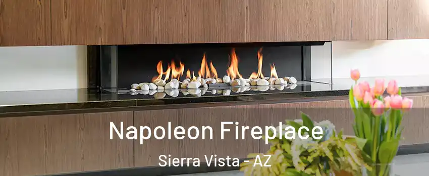  Napoleon Fireplace Sierra Vista - AZ